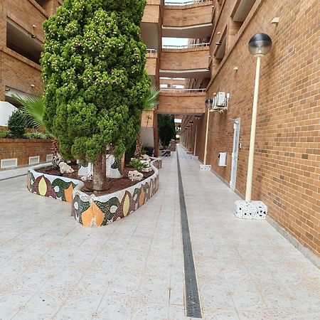 Apartamento Magic World Nueva Marina D'Or 2 Dormitorios Edificio Torremar 奥罗佩萨德尔马 外观 照片